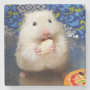 Fluffy syrian hamster Kokolinka eating a seed Stone Coaster
