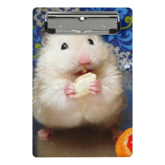 Fluffy Syrian Hamster Kokolinka Mini Clipboard (Front)
