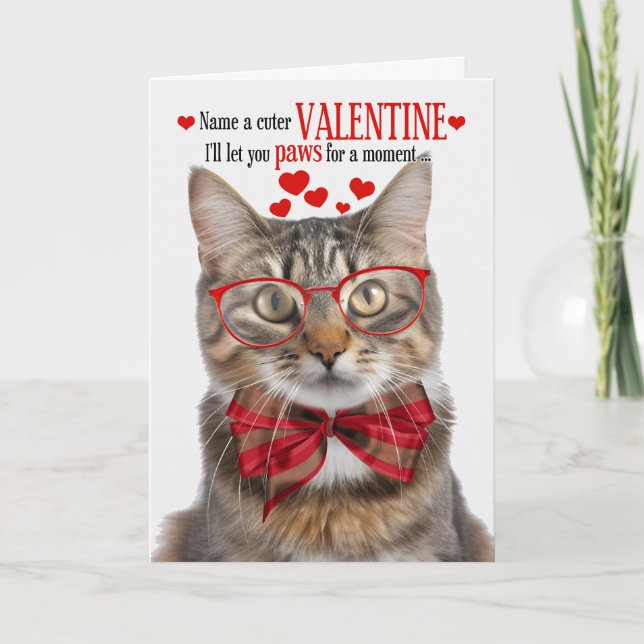 Fluffy Tabby Cat Valentine's Day Feline Humour Holiday Card (Front)