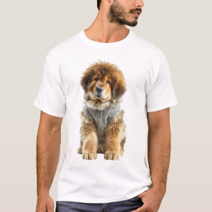 Fluffy Tibetan Mastiff Puppy in Grey Knitted Sweat T-Shirt