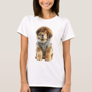 Fluffy Tibetan Mastiff Puppy in Grey Knitted Sweat T-Shirt