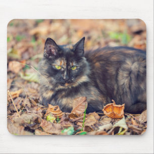 Fluffy Tortoiseshell Kitty in Autumn Mouse Pad