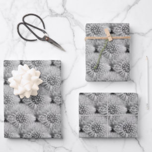 Fluffy White Dandelions Nature Pattern  Wrapping Paper Sheet