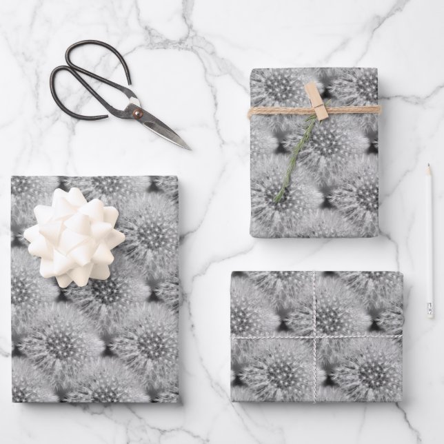 Fluffy White Dandelions Nature Pattern  Wrapping Paper Sheet (Front)