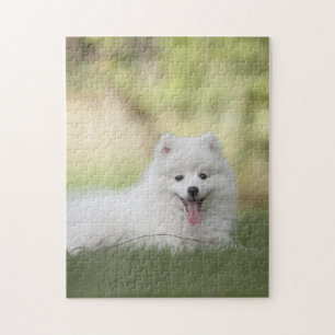 Fluffy White Keeshond Puppy Jigsaw Puzzle