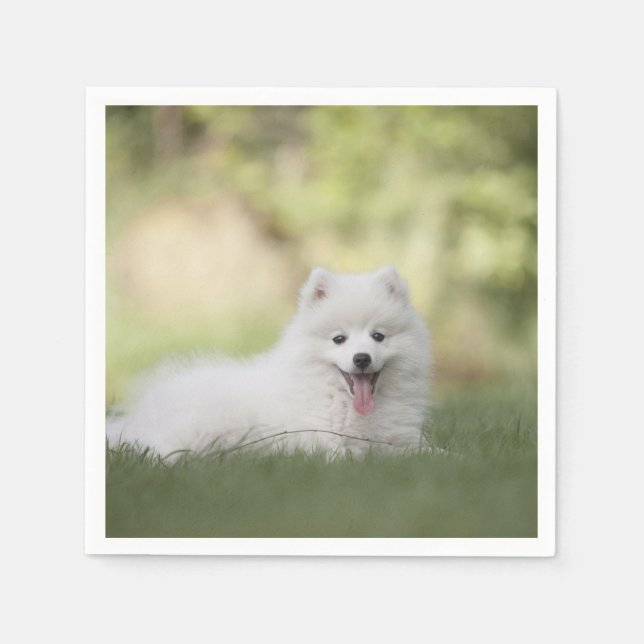 Fluffy White Keeshond Puppy Napkin (Front)