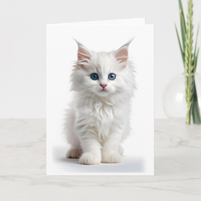 Fluffy White Long-Haired Cat Blue Eyes Blank Card (Front)