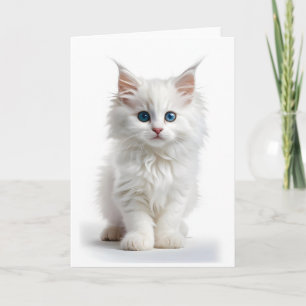 Fluffy White Long-Haired Cat Blue Eyes Blank Card