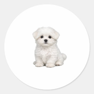 Fluffy White Maltese Puppy Portrait Cute Dog Lover Classic Round Sticker