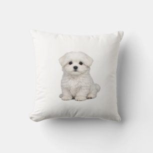 Fluffy White Maltese Puppy Portrait Cute Dog Lover Cushion