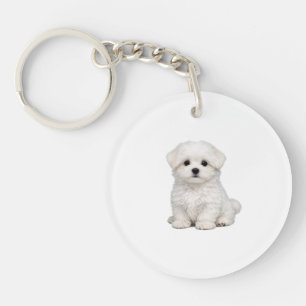 Fluffy White Maltese Puppy Portrait Cute Dog Lover Key Ring