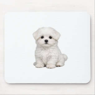 Fluffy White Maltese Puppy Portrait Cute Dog Lover Mouse Pad
