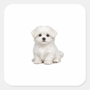 Fluffy White Maltese Puppy Portrait Cute Dog Lover Square Sticker