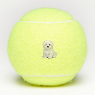 Fluffy White Maltese Puppy Portrait Cute Dog Lover Tennis Balls