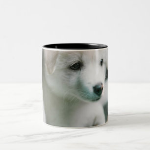 "Fluffy White Puppy Charm" Two-Tone Coffee Mug