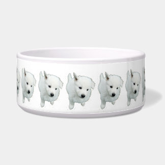 Fluffy White Puppy Photograph