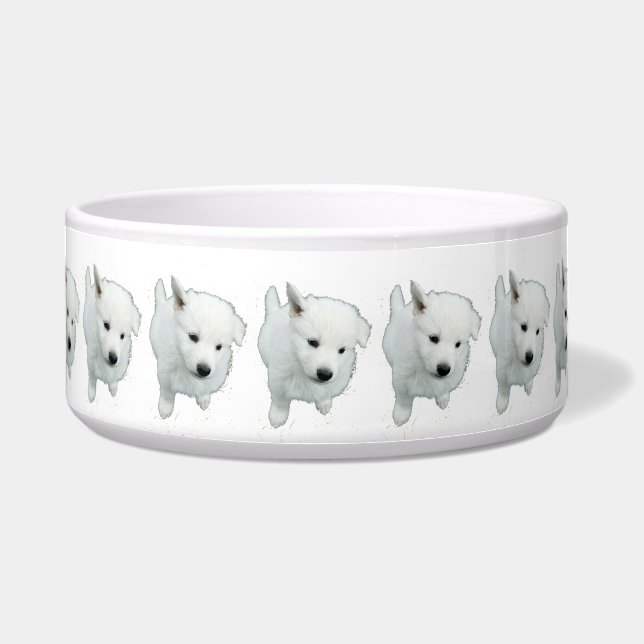 Fluffy White Puppy Photograph (Front)