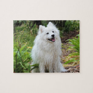 Fluffy White Spitz Puppy Dog Jigsaw Puzzle
