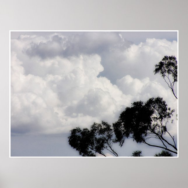 Fluffy Whites Poster (Front)