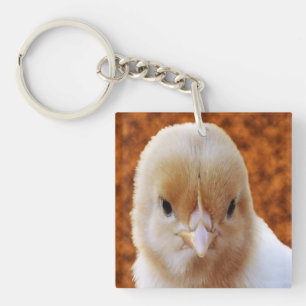 Fluffy Yellow Baby Chicken, Key Ring