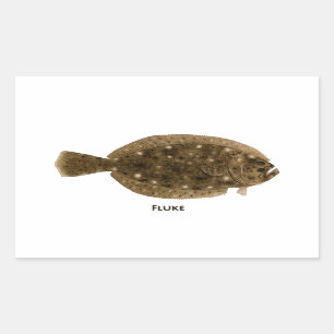 Fluke Rectangular Sticker