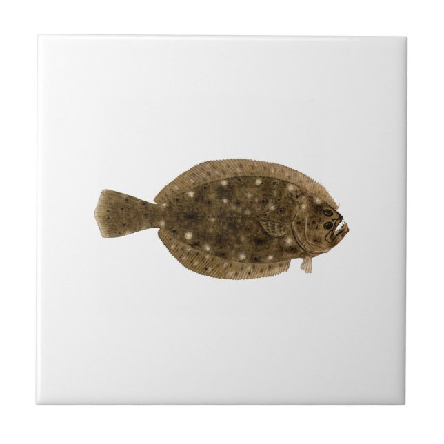Fluke - Summer Flounder Ceramic Tile (Front)