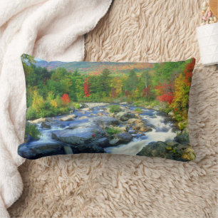 Flume Falls    Adirondack Mountains Lumbar Cushion