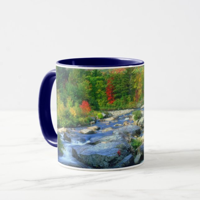 Flume Falls |  Adirondack Mountains Mug (Front Left)