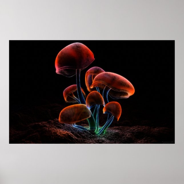 Fluorescence (2009) poster (Front)