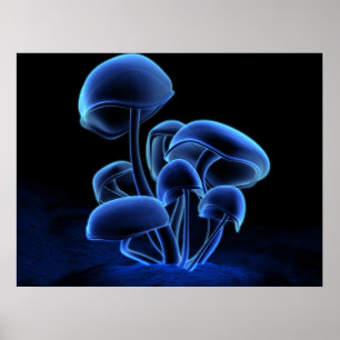 Fluorescence Poster