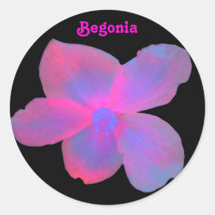 Fluorescent Begonia Customisable Sticker