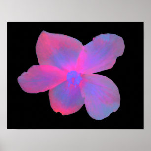 Fluorescent Begonia Flower Print