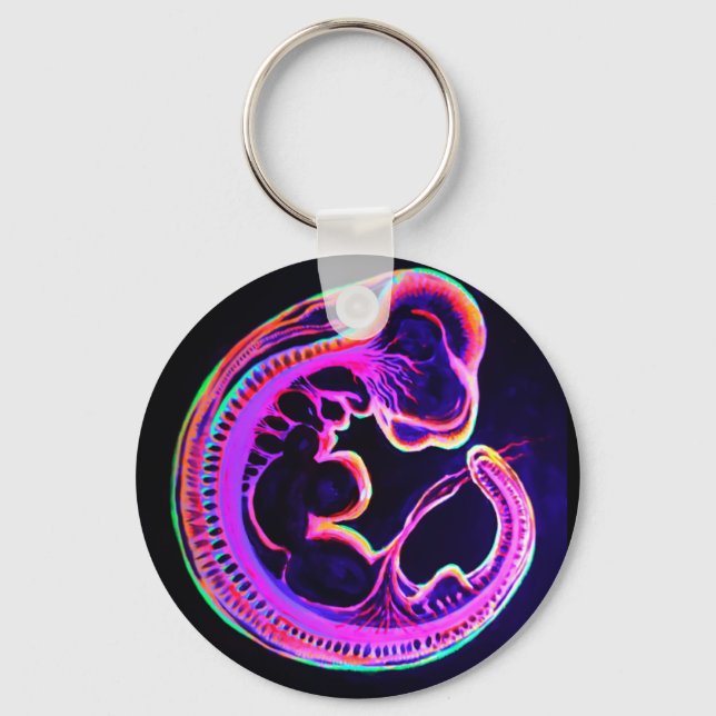 Fluorescent embryo glowing in the dark key ring (Front)