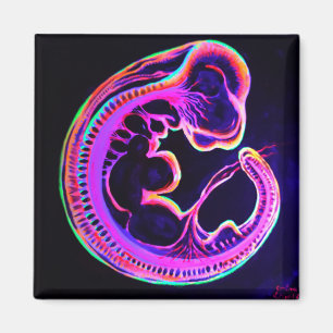 Fluorescent embryo glowing in the dark magnet