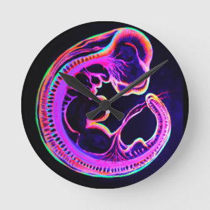 Fluorescent embryo glowing in the dark  round clock