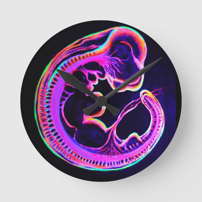 Fluorescent embryo glowing in the dark  round clock (Front)