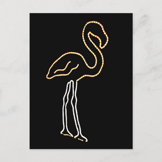 Fluorescent Flamingo Postcard (Front)