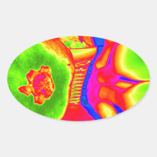 fluorescent fruit oval sticker