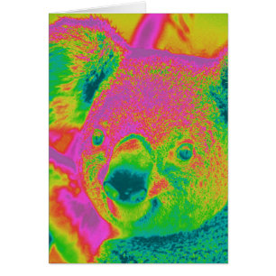 fluorescent koala bears