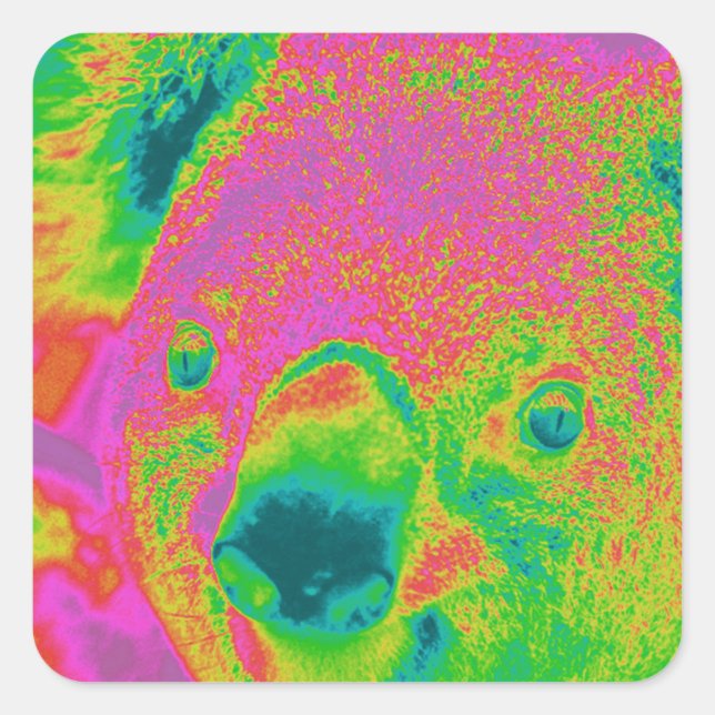 fluorescent koala bears square sticker (Front)
