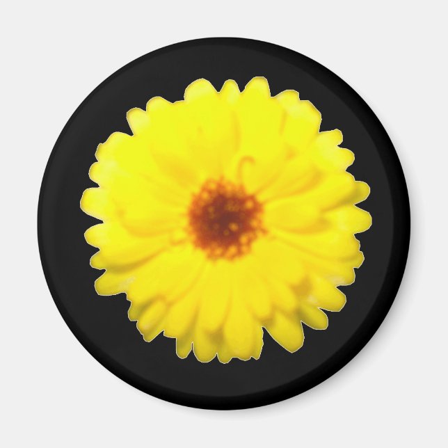Fluorescent Marigold Magnet (Front)