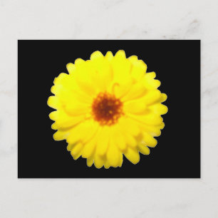 Fluorescent Marigold Postcard