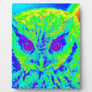 fluorescent owl plaque
