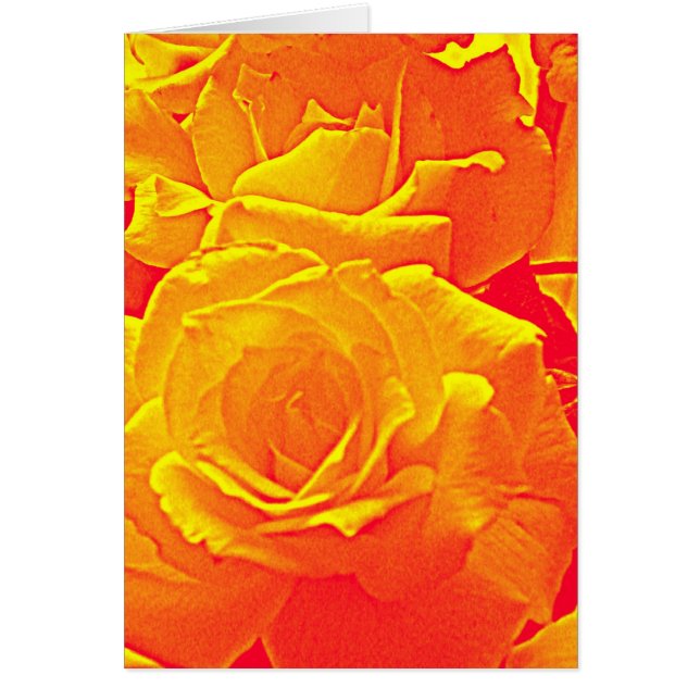 fluorescent rose orange (Front)