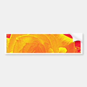fluorescent rose orange bumper sticker