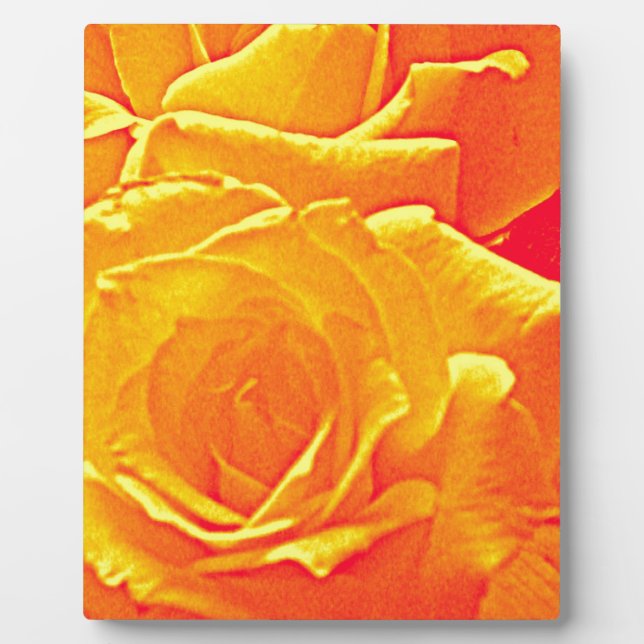 fluorescent rose orange plaque (Front)