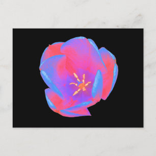 Fluorescent Tulip Postcard