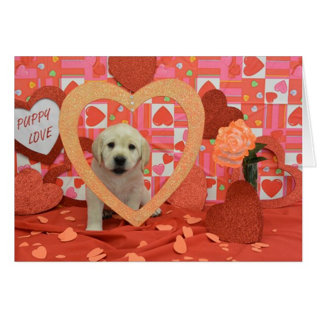 Flurry Week 6 Photo (Front Horizontal)