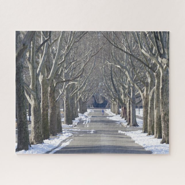 Flushing Meadow Park. Christmas Greetings Jigsaw Puzzle (Horizontal)