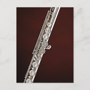 Flute Flautist Musician Postcard